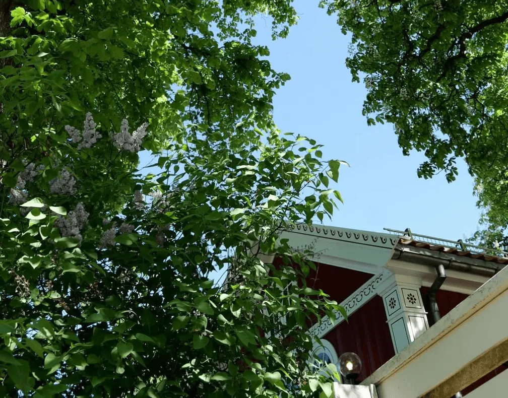 larsstua frogner hovedgård